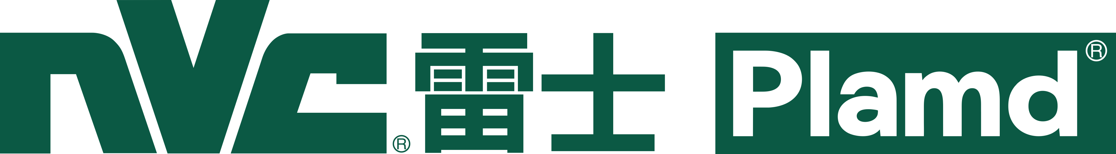 Shandong Leishi Lighting Development Co., Ltd.